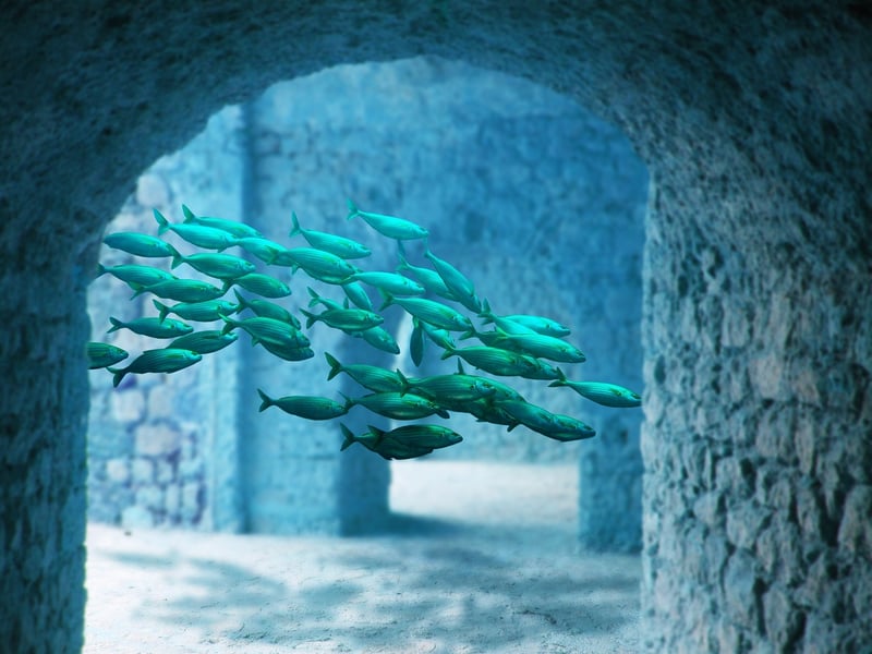 Atlantis: The Lost City